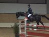 jumper Findus 128 (Hanoverian, 2008, from For Edition)