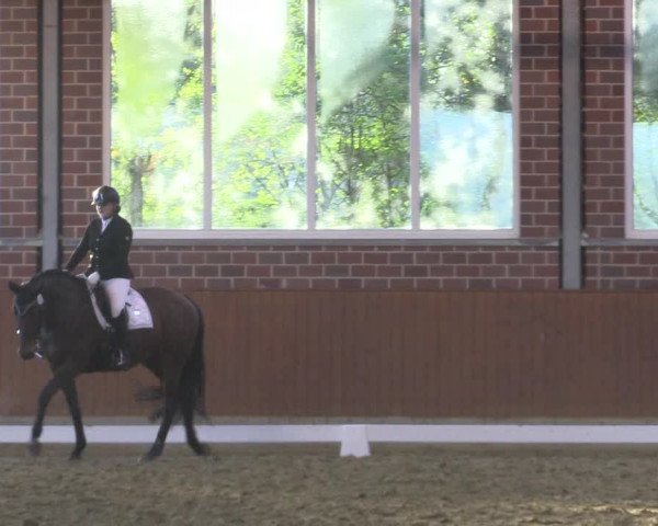 Reitturnier Seppenrade 2020