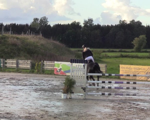Reitturnier Schülp / Rendsburg 2020