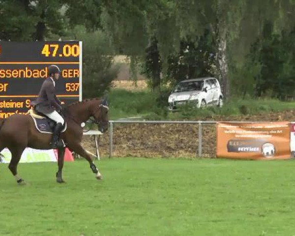 jumper Looper (Oldenburg, 2008, from Ludwigs As)