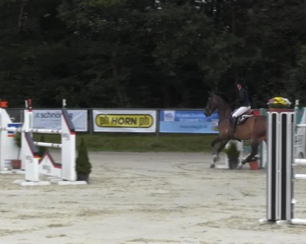 jumper Schoeffehofer (Hanoverian, 2005, from Silvio I)