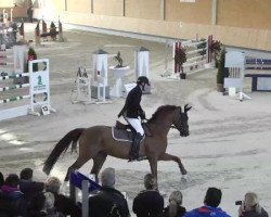 broodmare Izmira 2 (German Sport Horse, 2006, from Quidam's Rubin)