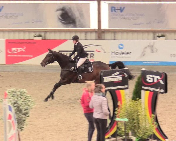 Reitturnier Negernbötel, 1. Nordic Jumping event 2020/2021