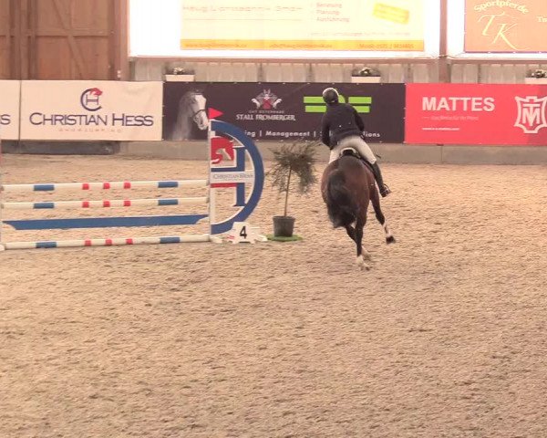 Reitturnier Negernbötel, 1. Nordic Jumping event 2020/2021