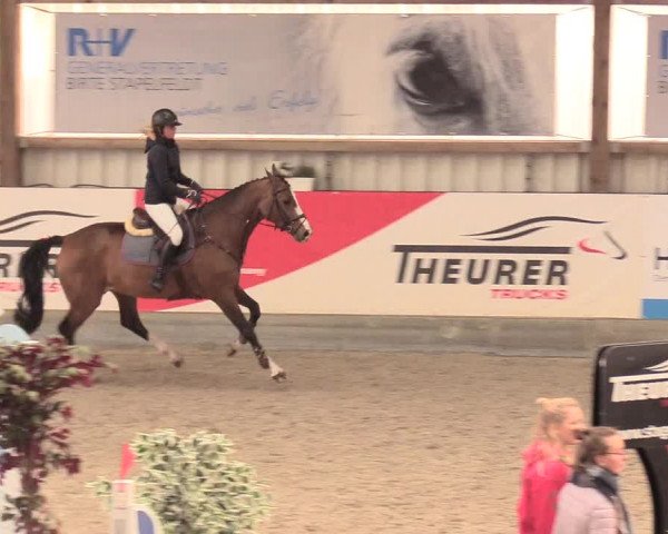 Reitturnier Negernbötel, 1. Nordic Jumping event 2020/2021