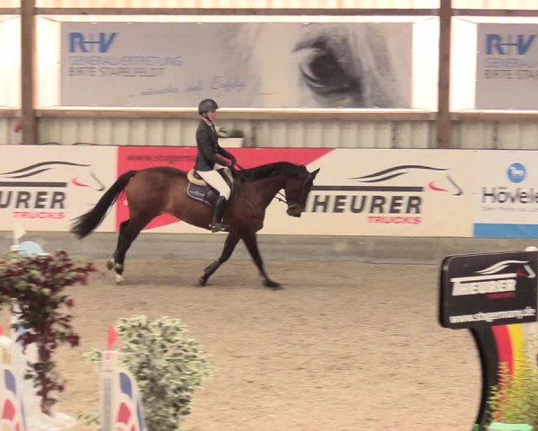 Reitturnier Negernbötel, 1. Nordic Jumping event 2020/2021