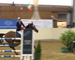 jumper Bamboozle (KWPN (Royal Dutch Sporthorse), 2006, from Ohorn)