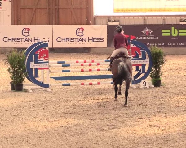 Reitturnier Negernbötel, 1. Nordic Jumping event 2020/2021