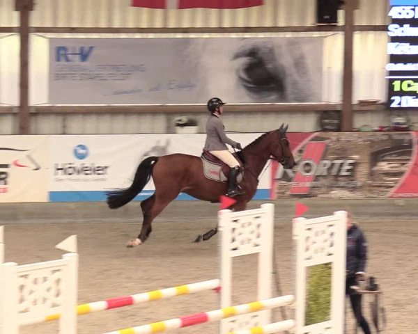 Reitturnier Negernbötel, 1. Nordic Jumping event 2020/2021