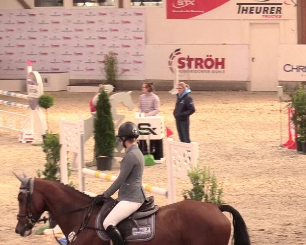 Reitturnier Negernbötel, 1. Nordic Jumping event 2020/2021