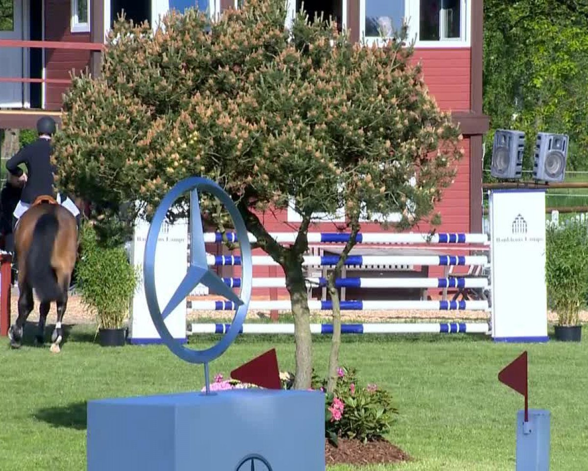 jumper Skyfall 9 (Hanoverian, 2009, from Stalypso)
