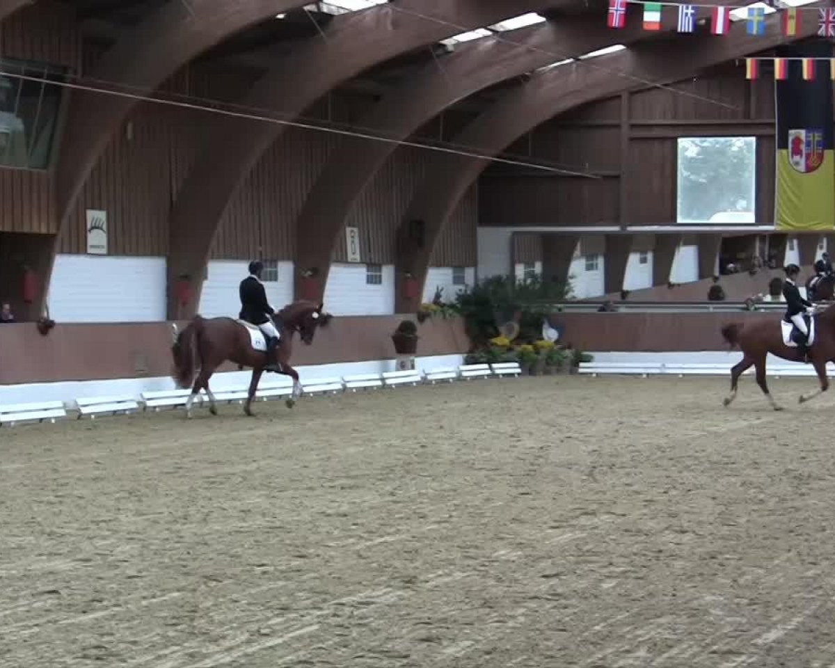 dressage horse Finja (Rhinelander, 2009, from Flatley 2)