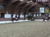 dressage horse Finja (Rhinelander, 2009, from Flatley 2)