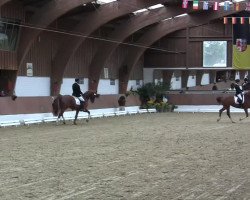 dressage horse Finja (Rhinelander, 2009, from Flatley 2)