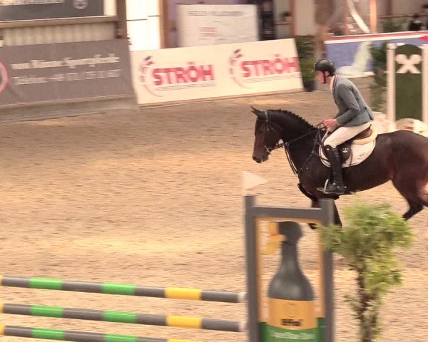 Reitturnier Negernbötel, 1. Nordic Jumping event 2020/2021
