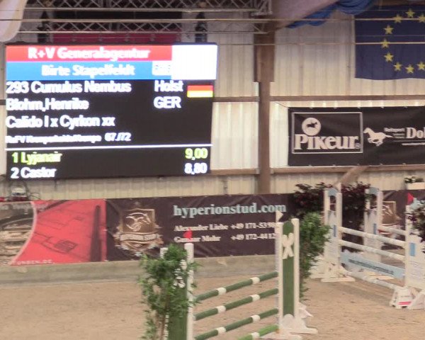Reitturnier Negernbötel, 1. Nordic Jumping event 2020/2021