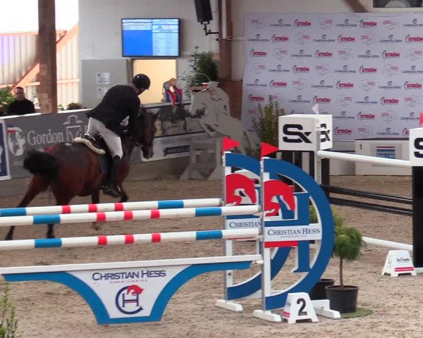 Reitturnier Negernbötel, 1. Nordic Jumping event 2020/2021