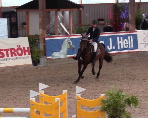 Reitturnier Negernbötel, 1. Nordic Jumping event 2020/2021