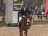 dressage horse Paule 48 (Westphalian, 2009, from Peking)