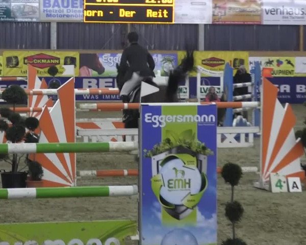 jumper Vitos (KWPN (Royal Dutch Sporthorse), 2002, from Cantos)