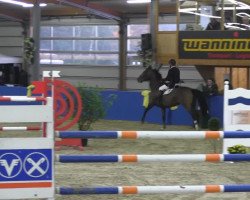 jumper Ceather (KWPN (Royal Dutch Sporthorse), 2007)