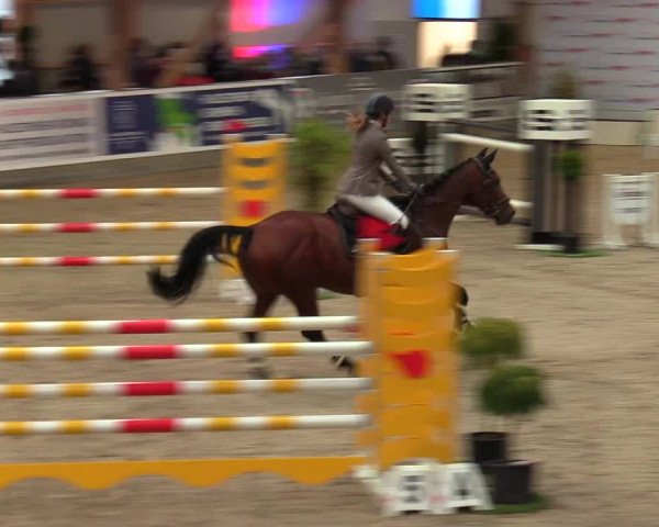 Reitturnier Negernbötel, 1. Nordic Jumping event 2020/2021