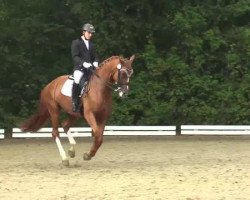 dressage horse Aronia Rubina (Rhinelander, 2006, from Abanos)