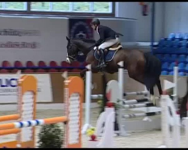 jumper Clintord's Son (Oldenburg, 2009)