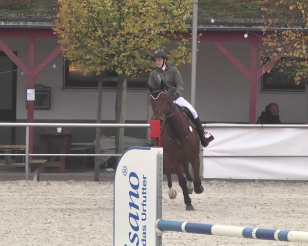 Reitturnier Achern 2020