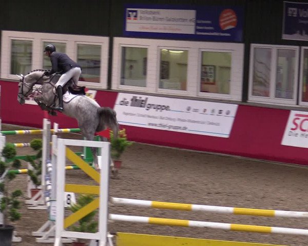 Reitturnier Salzkotten 2020