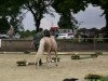 Zuchtstute Storming Nala (Deutsches Reitpony, 2010, von Spring Star's Spirit)