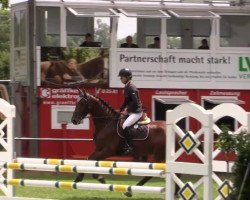 dressage horse Cote D'Or (Westphalian, 2009, from Cassone)