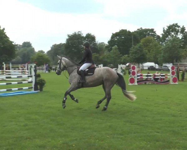 Springpferd Charilu (Holsteiner, 2009, von Champion du Lys)
