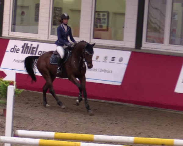 Reitturnier Salzkotten 2020