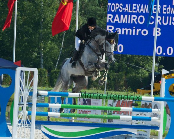 Springpferd Ramiro Cruise (Irish Sport Horse, 2006, von Ramiro B)