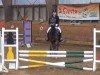 jumper Fehkamps Micoletta (German Riding Pony, 2008, from Proud Doug)