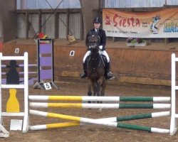 jumper Fehkamps Micoletta (German Riding Pony, 2008, from Proud Doug)