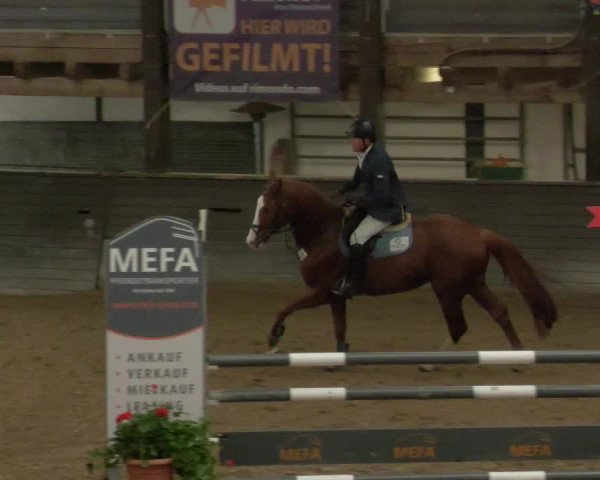 Reitturnier Heilbronn 2020