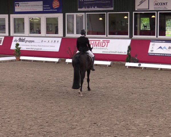 Reitturnier Salzkotten 2020