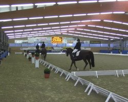 dressage horse Lay me down (Hanoverian, 2006, from Lauries As)