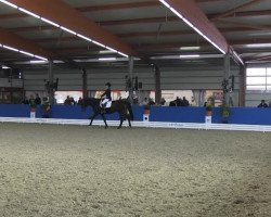 dressage horse Fideno (Hanoverian, 2009, from Fidertanz)