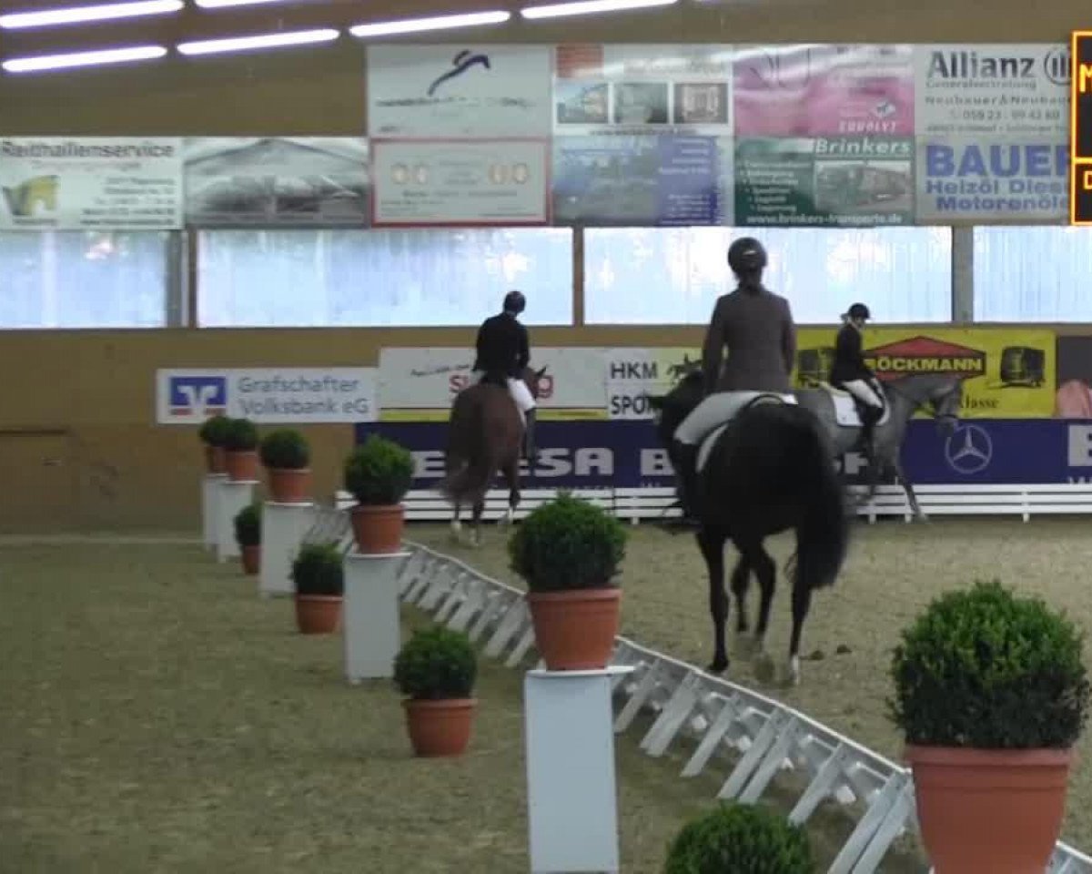 Dressurpferd Alessio 22 (Hannoveraner, 2009, von Avagon)