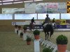 dressage horse Alessio 22 (Hanoverian, 2009, from Avagon)