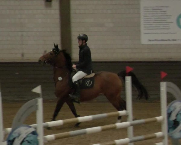 Reitturnier Heilbronn 2020