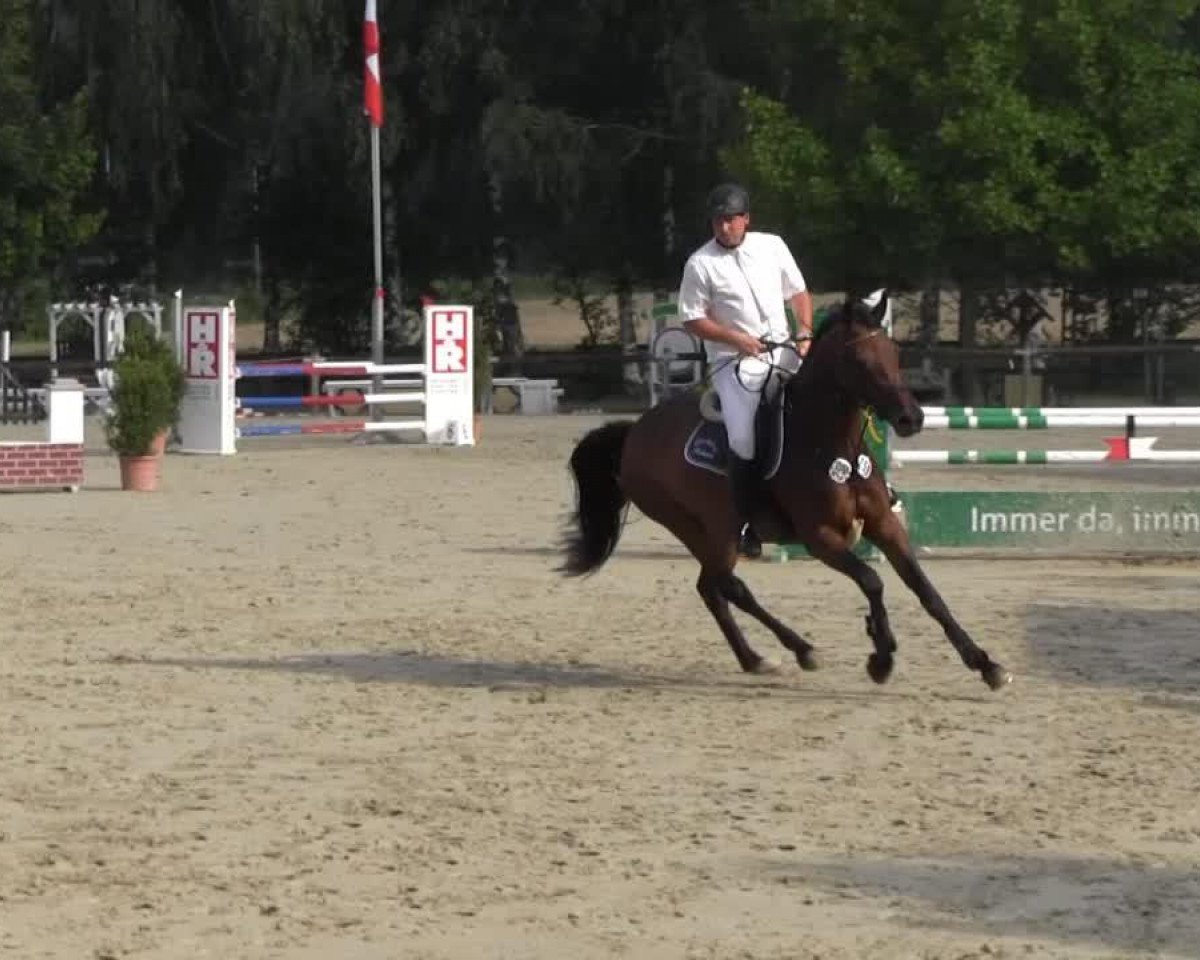jumper Carline (Oldenburg, 2008)