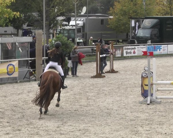 Reitturnier Achern 2020