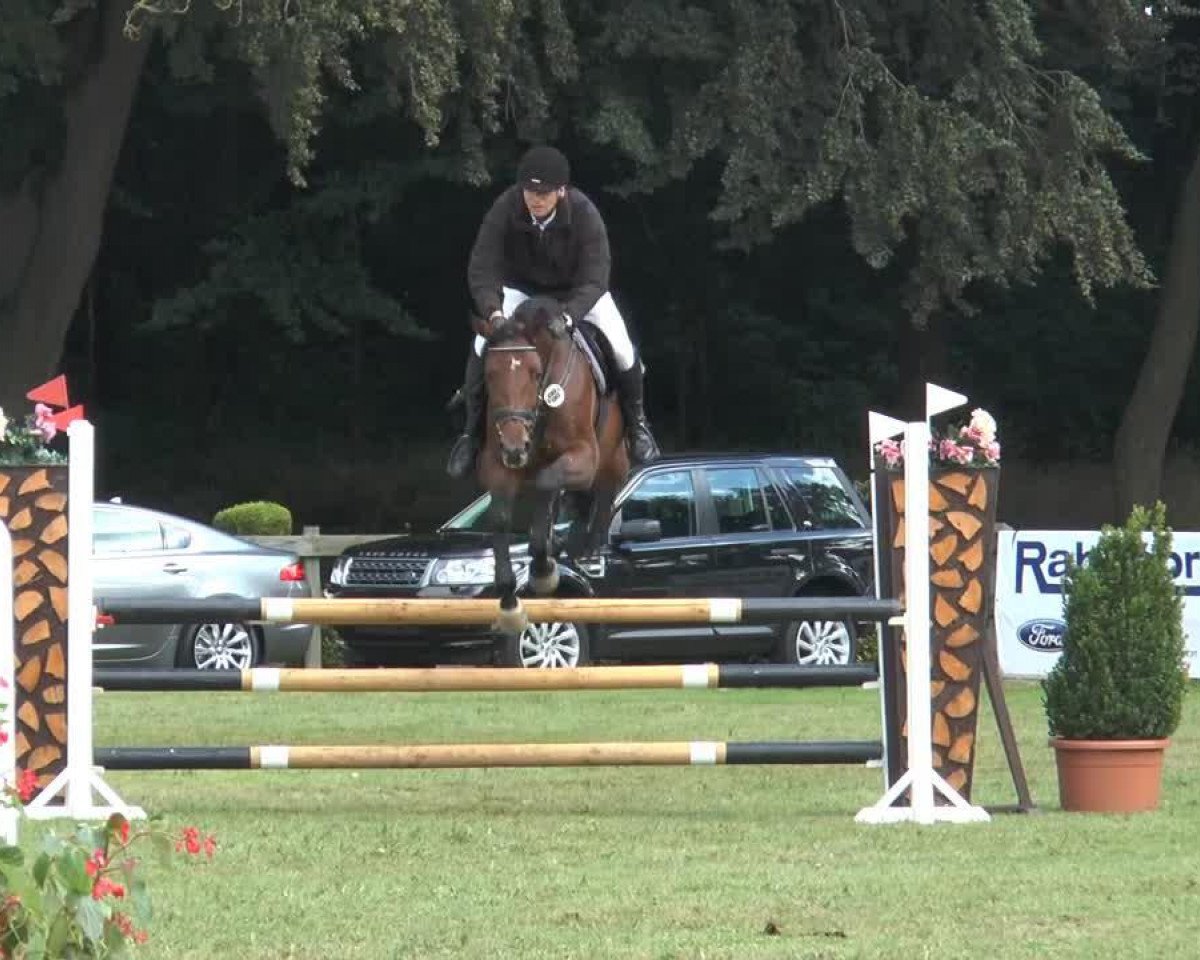 broodmare Cachassa Ts (Oldenburg, 2008, from Check In 2)