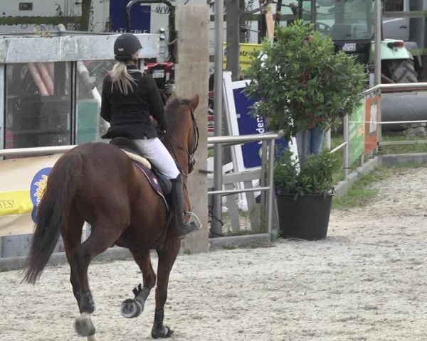 Reitturnier Achern 2020