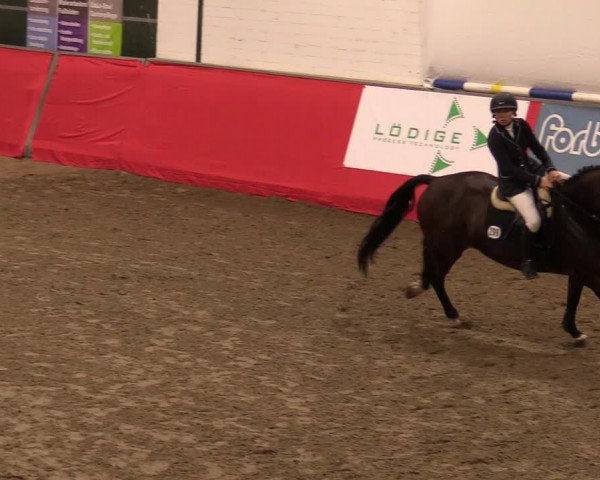 Reitturnier Salzkotten 2020