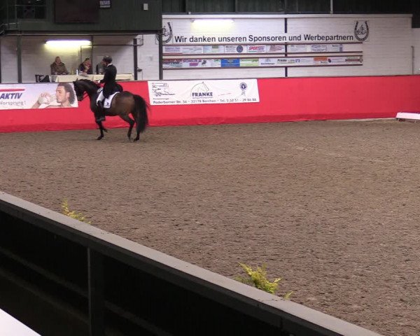 Reitturnier Salzkotten 2020